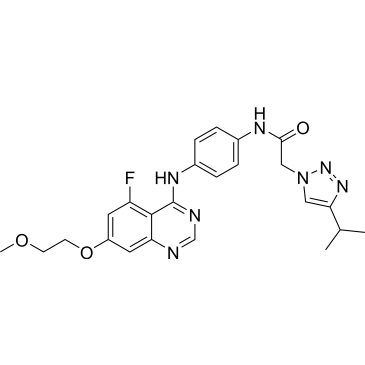 CS-0065717