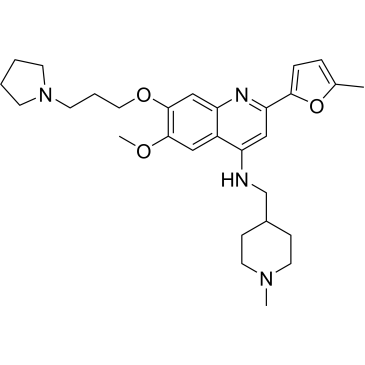CS-0065938