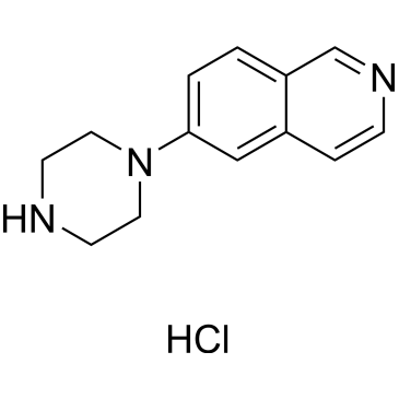 6-Piperazin-1-yl-isoquinoline (hydrochloride)|CS-0066063