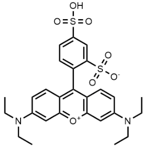 Lissamine rhodamine B|CS-0066074