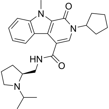 CS-0066597