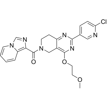 CS-0066613