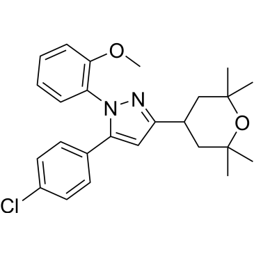 CS-0067941