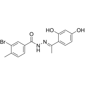 CS-0067951