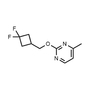 2-[(3,3-Difluorocyclobutyl)methoxy]-4-methylpyrimidine|CS-0073093