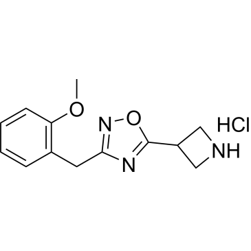 5-Azetidin-3-yl-3-(2-methoxybenzyl)-1,2,4-oxadiazole hydrochloride|CS-0074690