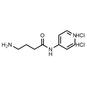 4-Amino-N-(pyridin-4-yl)butanamide dihydrochloride|CS-0074836