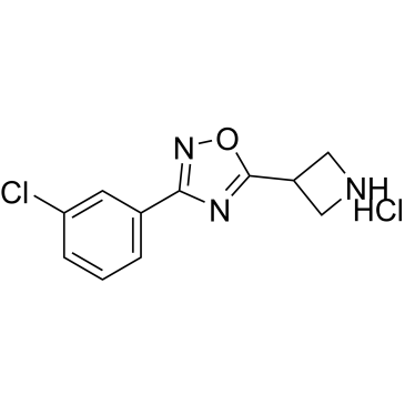 5-Azetidin-3-yl-3-(3-chlorophenyl)-1,2,4-oxadiazole hydrochloride|CS-0074917