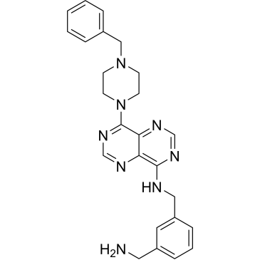 CS-0077135