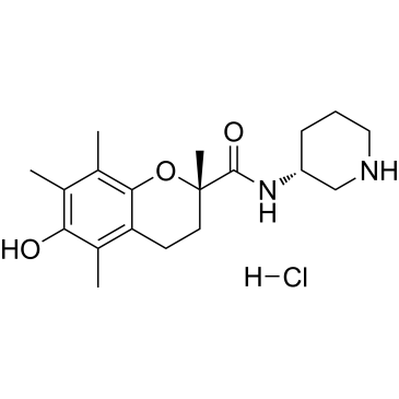 CS-0077601