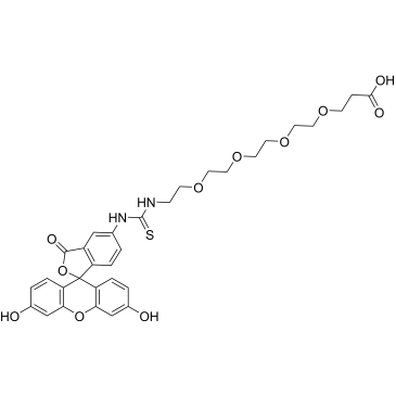 Fluorescein-PEG4-acid|CS-0077707