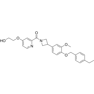 CS-0078816