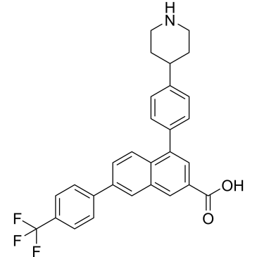 CS-0079526