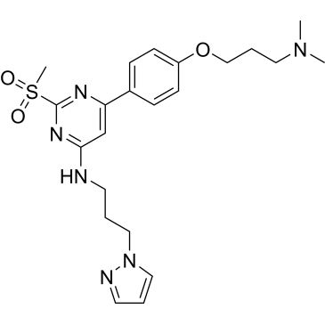 CS-0079597