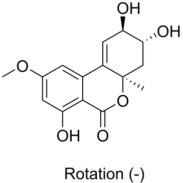 CS-0079813