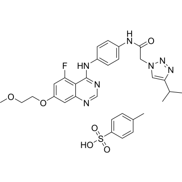 CS-0080517
