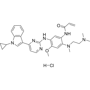 CS-0080793