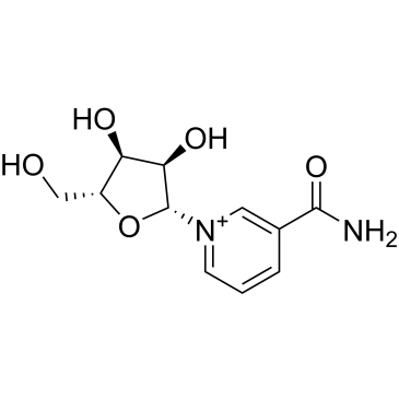 CS-0080934