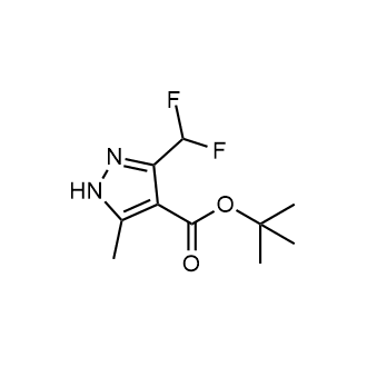 tert-Butyl 3-(difluoromethyl)-5-methyl-1H-pyrazole-4-carboxylate|CS-0080999