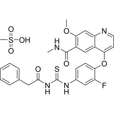 CS-0081113
