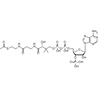 Acetyl coenzyme A|CS-0081944