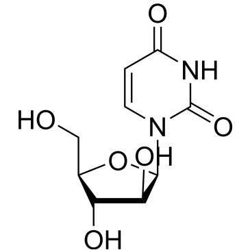 CS-0083204