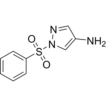 1-(Phenylsulfonyl)-1H-pyrazol-4-amine|CS-0083595