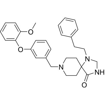 CS-0083604