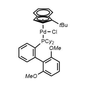 Chloro(1-t-butylindenyl)[2-(dicyclohexylphosphino)-2',6'-dimethoxy-1,1'-biphenyl]palladium(II)|CS-0084028