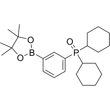 Dicyclohexyl(3-(4,4,5,5-tetramethyl-1,3,2-dioxaborolan-2-yl)phenyl)phosphine oxide|CS-0084404