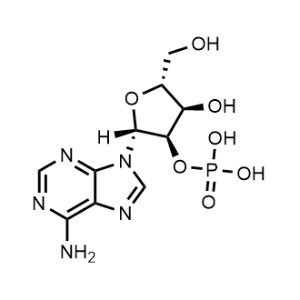 Adenosine-2'-monophosphate|CS-0084475