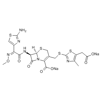 Cefodizime sodium|CS-0084958