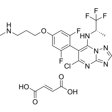 CS-0085599