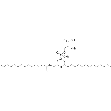 1,2-Dimyristoyl-sn-glycero-3-phospho-L-serine sodium|CS-0086442