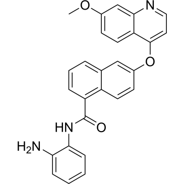 CS-0086815