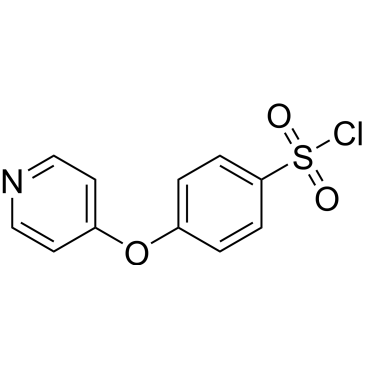 4-(Pyridin-4-yloxy)benzenesulfonyl chloride|CS-0089125