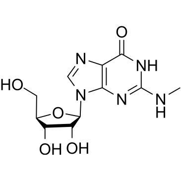 N2-Methylguanosine|CS-0089200