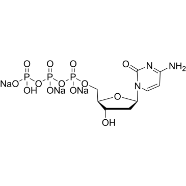 Deoxycytidine triphosphate (trisodium) solution 100 mM|CS-0090286