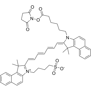 ICG NHS ester|CS-0091306