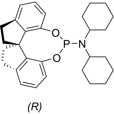 (11aR)-N,N-Dicyclohexyl-10,11,12,13-tetrahydrodiindeno[7,1-de:1',7'-fg][1,3,2]dioxaphosphocin-5-amine|CS-0091396