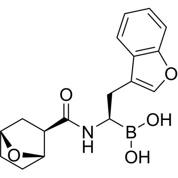 CS-0091883