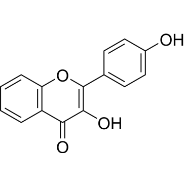 CS-0092574