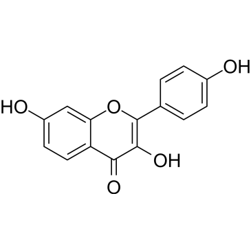 CS-0092579