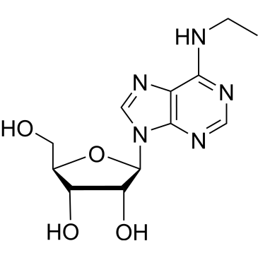 CS-0092591