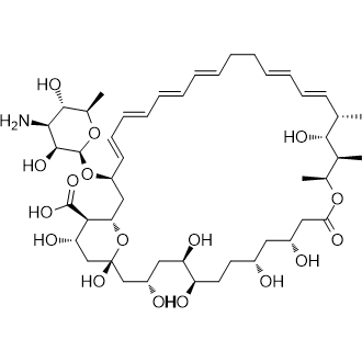 Amphotericin A|CS-0092999