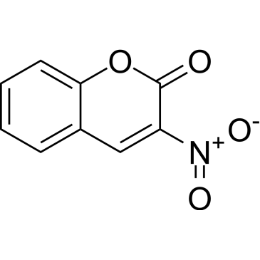 CS-0093975