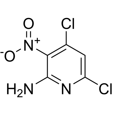 4,6-Dichloro-3-nitropyridin-2-amine|CS-0094679