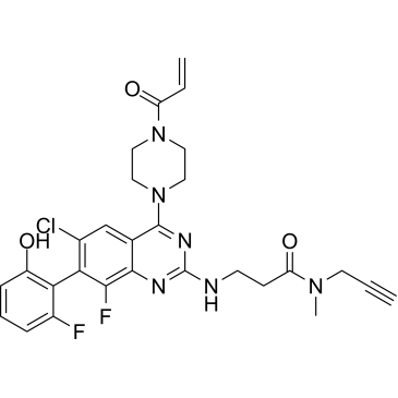 CS-0095313