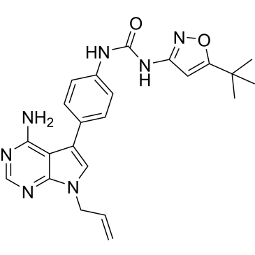 CS-0095904