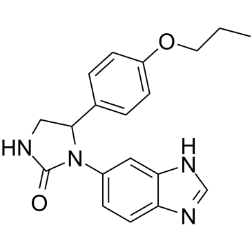 CS-0096736